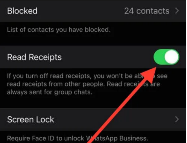 How to Read WhatsApp Messages Without Blue Tick